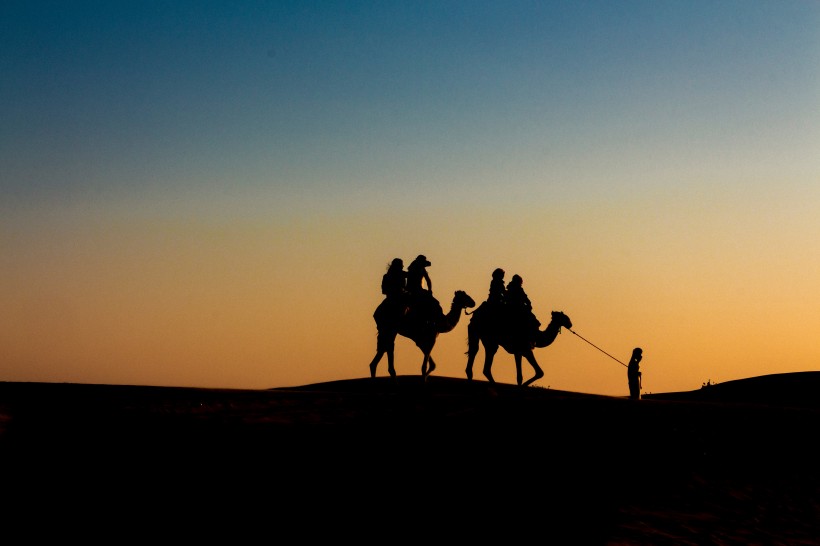 点击大图看下一张：荒漠中的骆驼图片