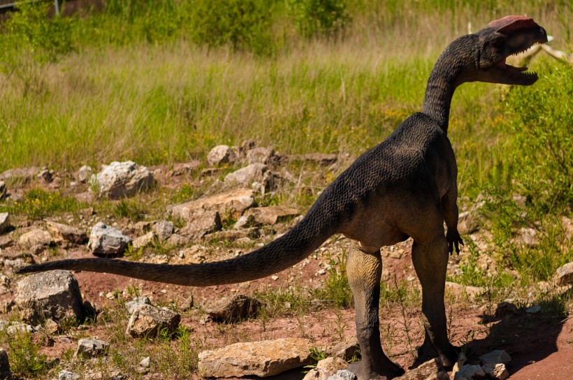 点击大图看下一张：白垩纪时期的恐龙图片