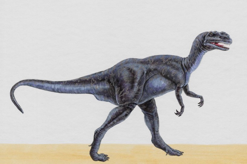 点击大图看下一张：手绘恐龙图片