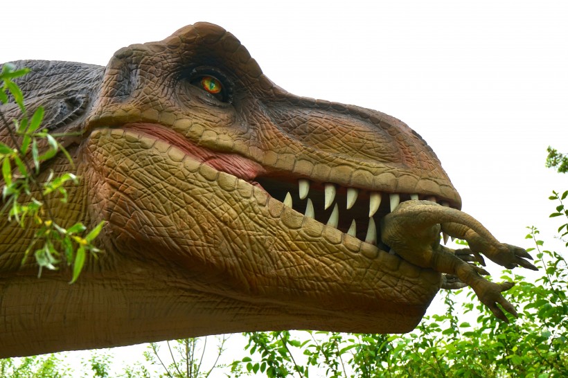 点击大图看下一张：恐龙模型和恐龙化石图片