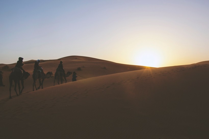 点击大图看下一张：沙漠中行走的骆驼图片