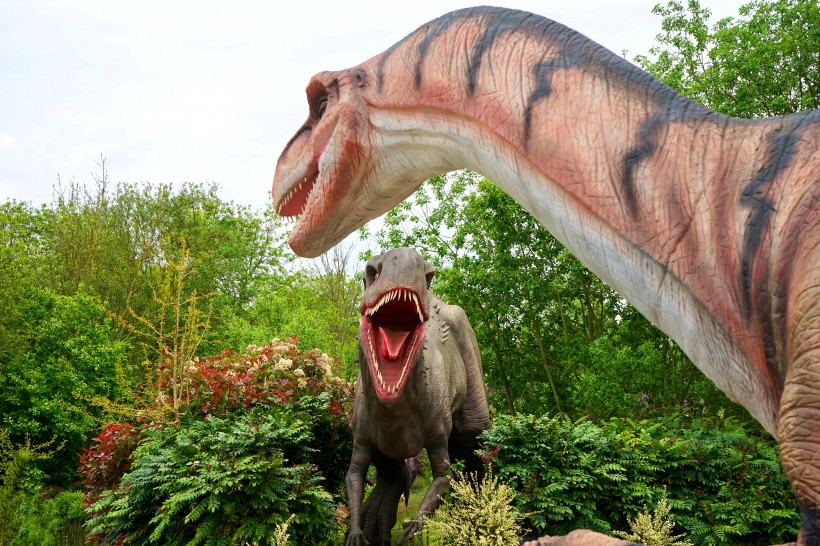 点击大图看下一张：恐龙模型和恐龙化石图片