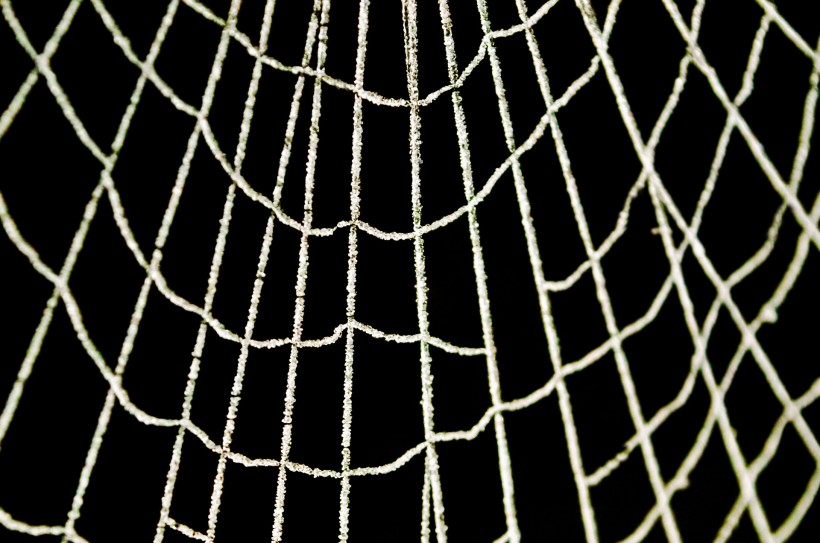 点击大图看下一张：晶莹冰冻的蜘蛛网图片