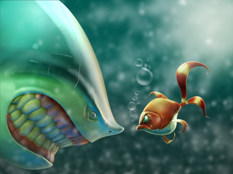 点击大图看下一张:可爱热带鱼图片