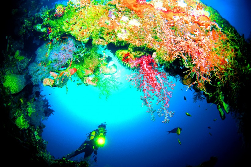 点击大图看下一张：深海潜水图片