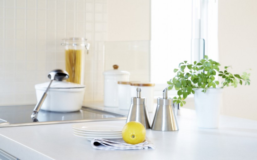 点击大图看下一张：家居静物图片