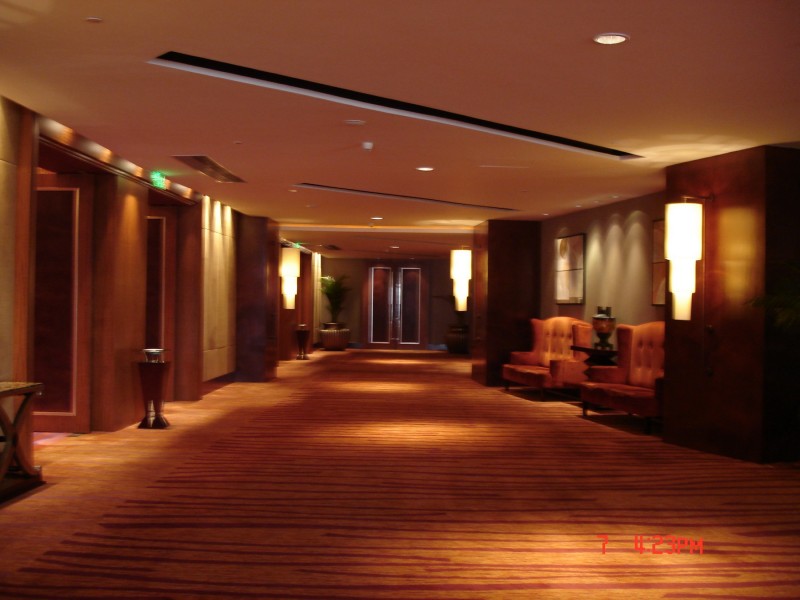 点击大图看下一张：南京酒店装潢设计图片