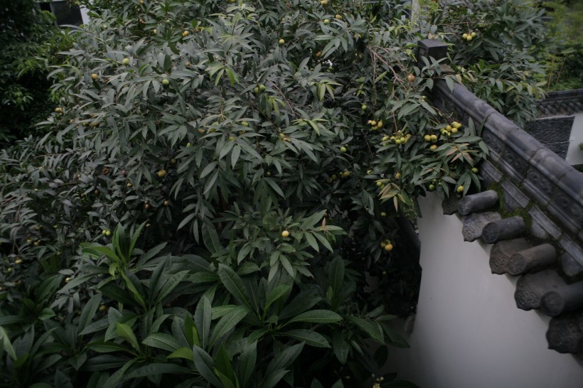 点击大图看下一张:清华坊瀚园设计图片