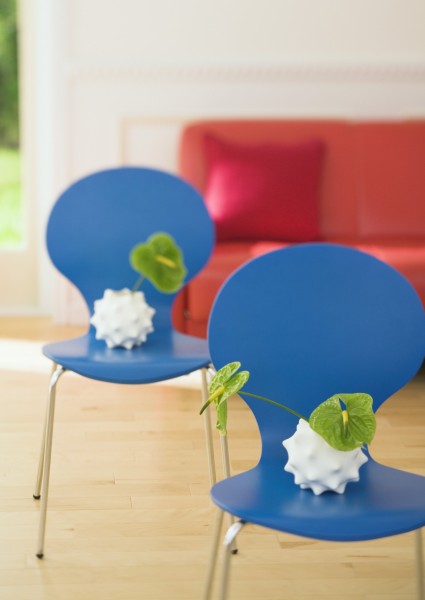 点击大图看下一张：室内花草图片