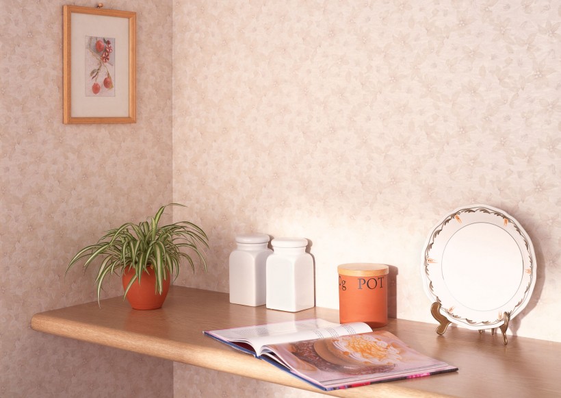 点击大图看下一张:室内设计图片