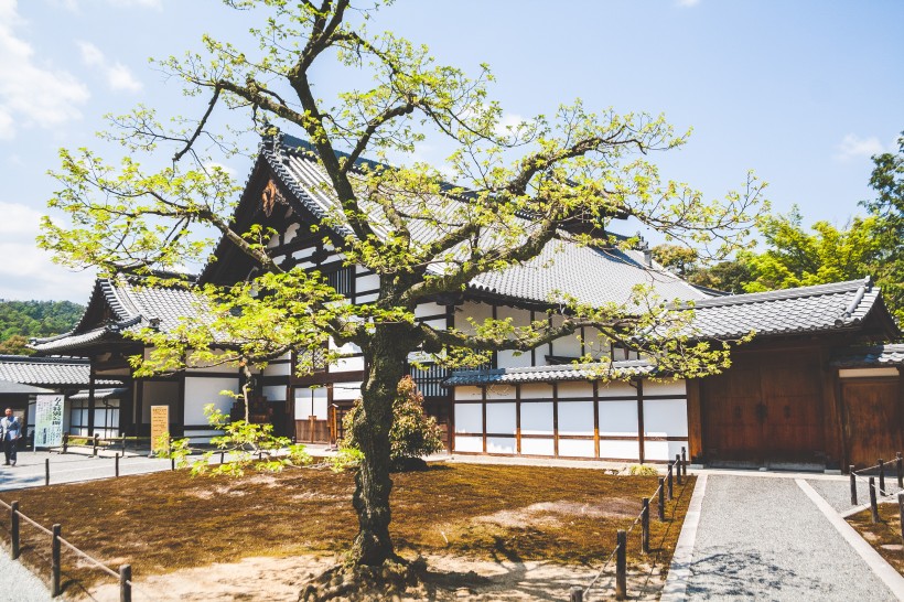 点击大图看下一张：佛教建筑寺庙图片