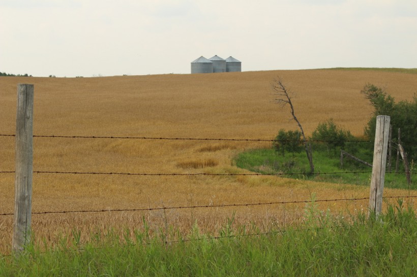 点击大图看下一张：农场的铁丝网特写图片
