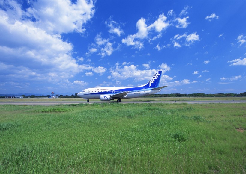 点击大图看下一张:飞机图片