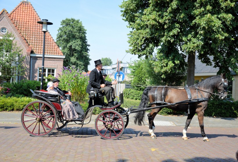 点击大图看下一张：荷兰传统马车图片