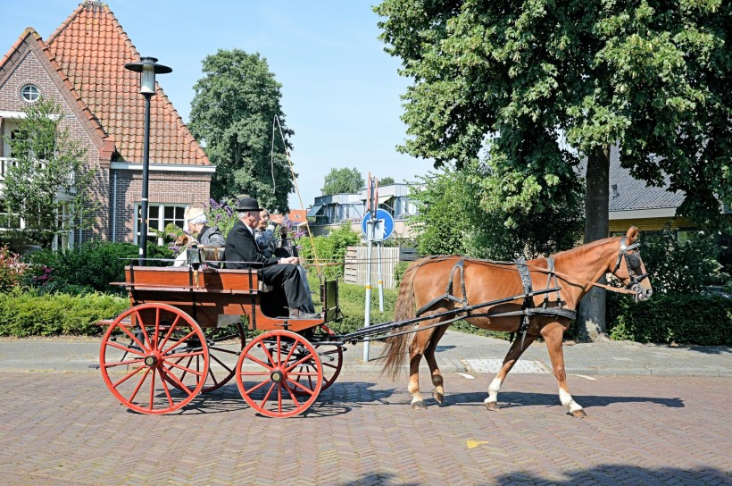 点击大图看下一张：荷兰传统马车图片