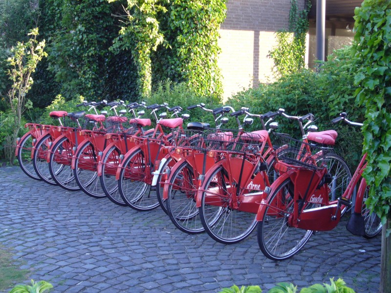 点击大图看下一张：红色的自行车图片