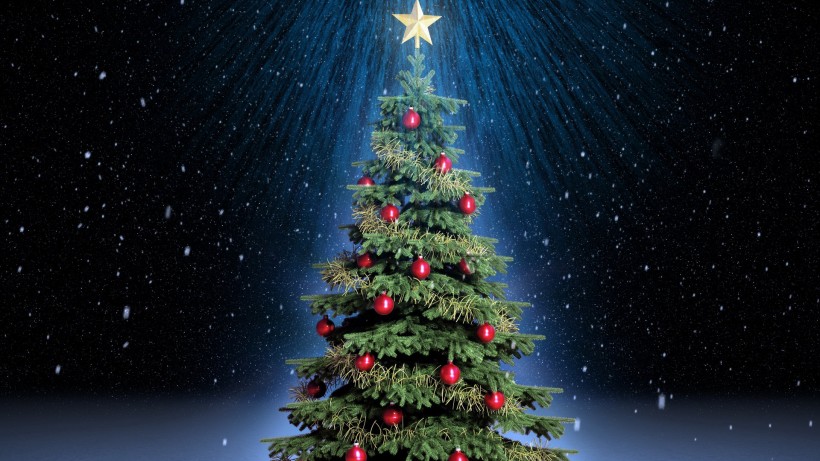 点击大图看下一张：璀璨圣诞树图片