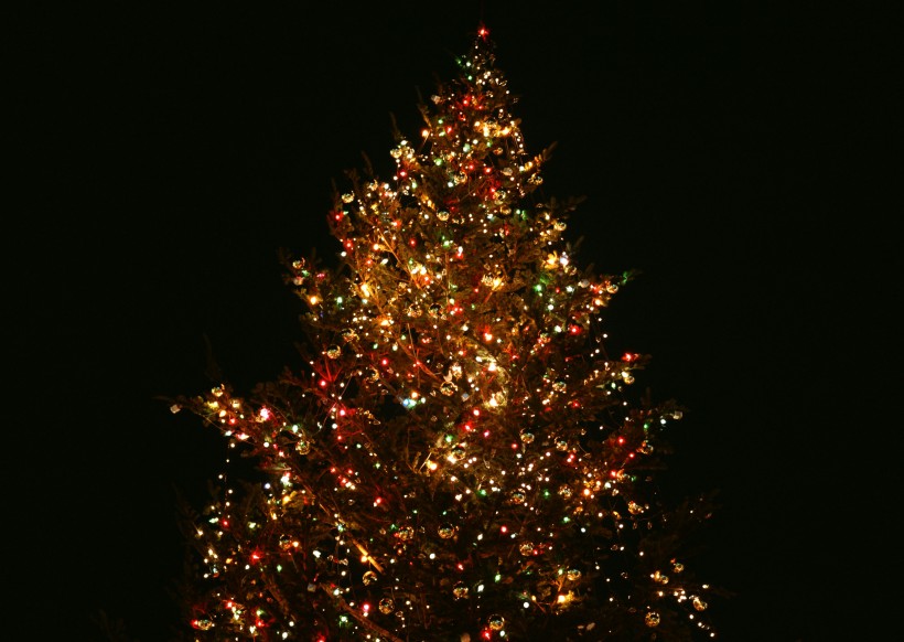 点击大图看下一张：璀璨圣诞树图片