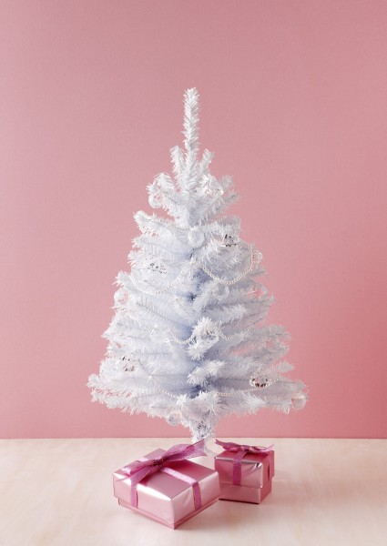 点击大图看下一张:冬天花朵素材图片