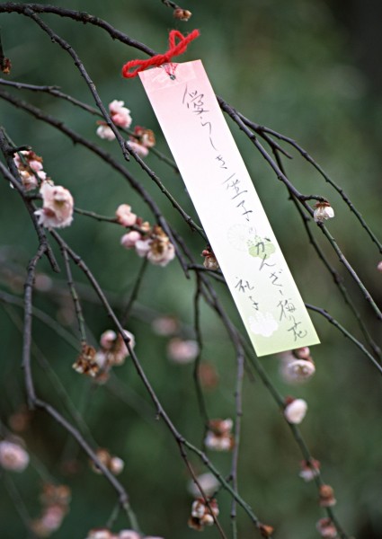 点击大图看下一张：日本节日图片