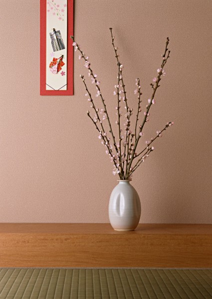 点击大图看下一张:日本节日图片