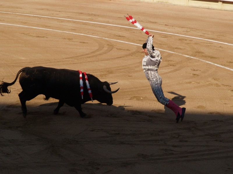 点击大图看下一张：西班牙斗牛图片