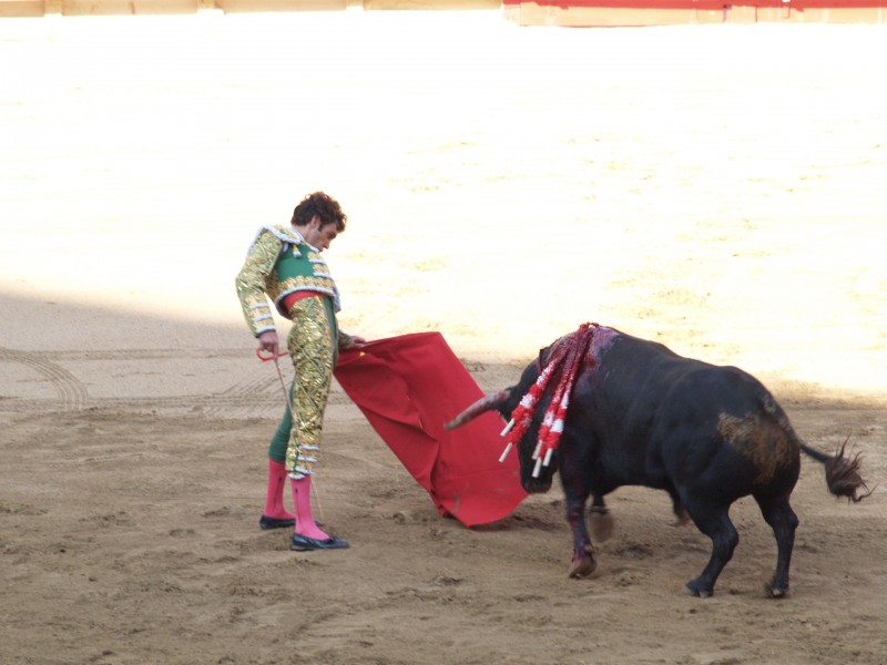 点击大图看下一张：西班牙斗牛图片