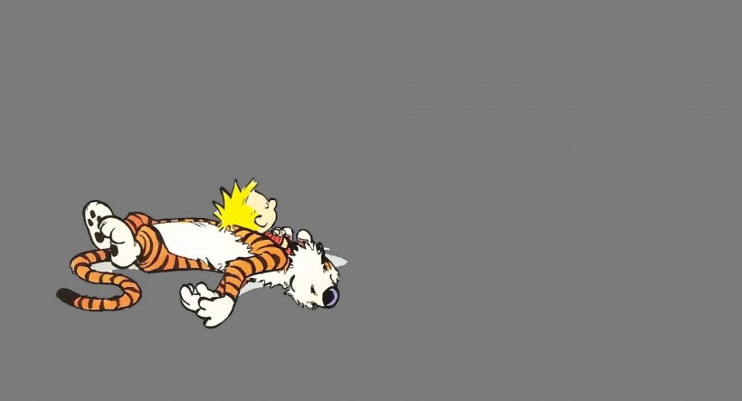 点击大图看下一张：漫画《Calvin Hobbes》图片