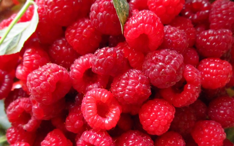 点击大图看下一张：营养有益的树莓图片