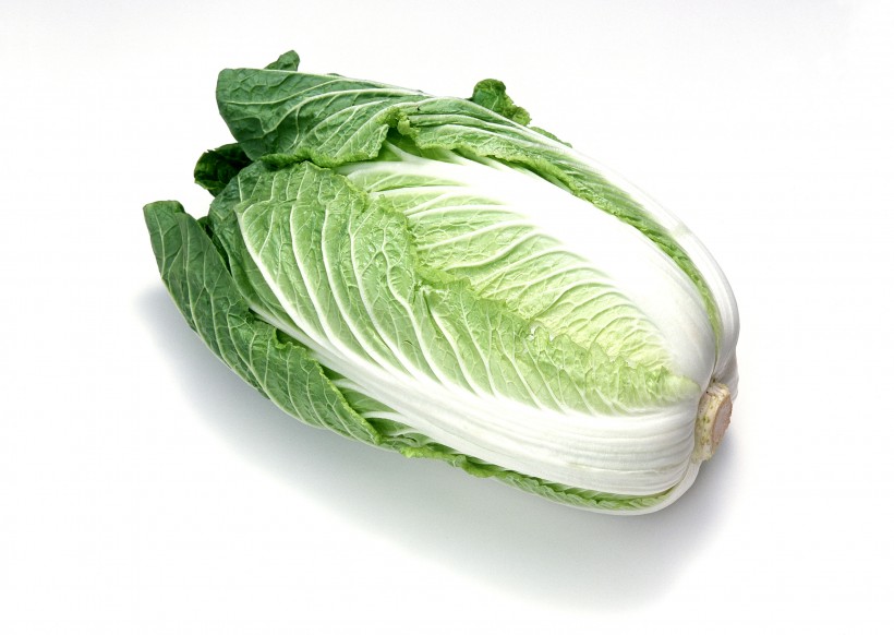 点击大图看下一张：白菜卷心菜图片