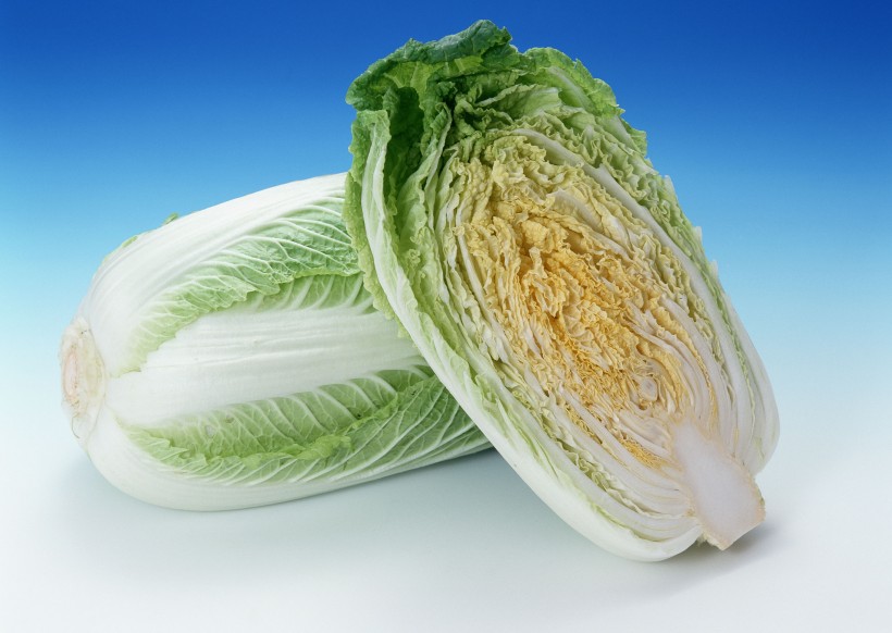 点击大图看下一张：白菜卷心菜图片