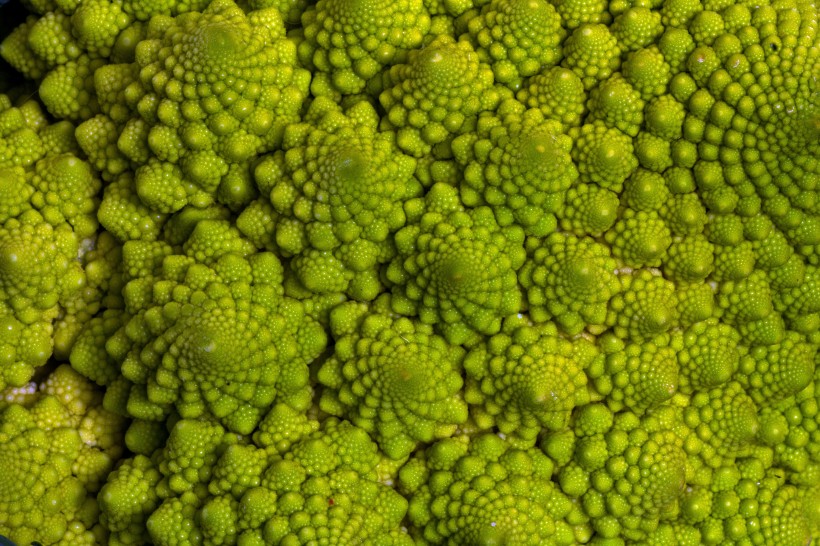 点击大图看下一张：绿色的宝塔菜花图片