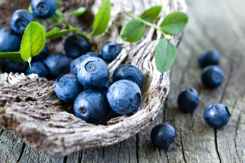 点击大图看下一张：酸酸甜甜的蓝莓图片