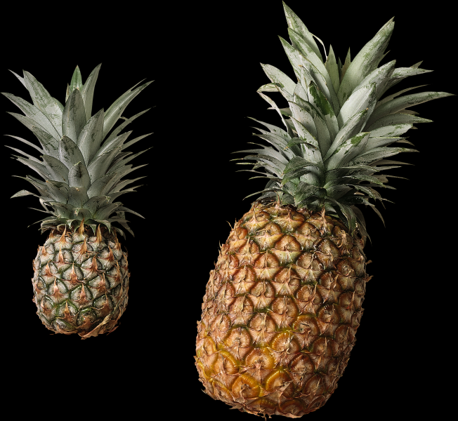 点击大图看下一张：菠萝透明背景PNG图片