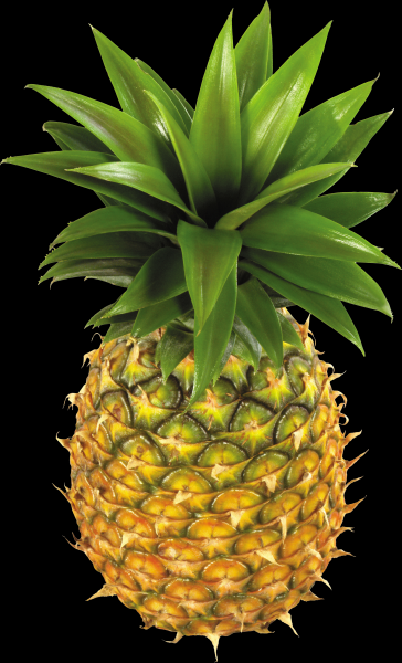 点击大图看下一张：菠萝透明背景PNG图片