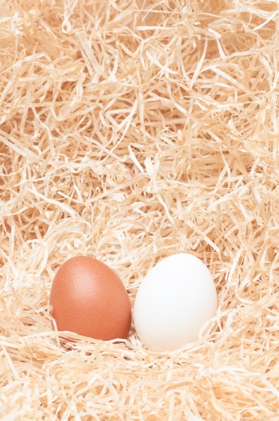 点击大图看下一张：可爱的彩绘蛋蛋摄影高清图片