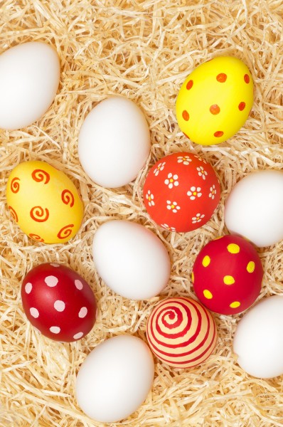 点击大图看下一张:可爱的彩绘蛋蛋摄影高清图片