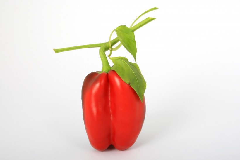 点击大图看下一张：粗壮的菜椒图片