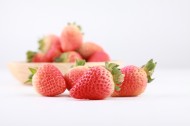 酸甜可口的草莓图片_10张