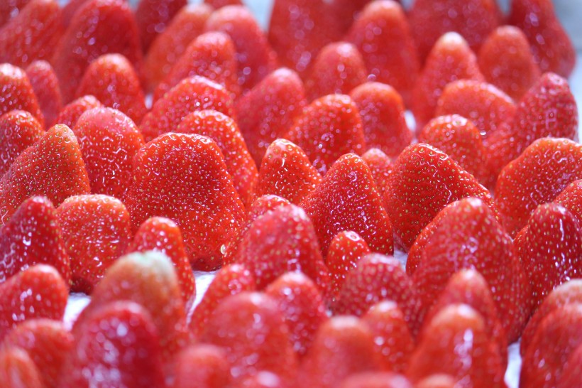点击大图看下一张：鲜红美味的草莓图片