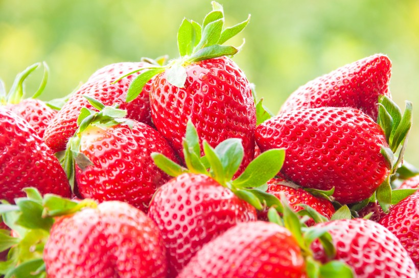 点击大图看下一张：鲜红美味的草莓图片