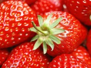 草莓图片_36张