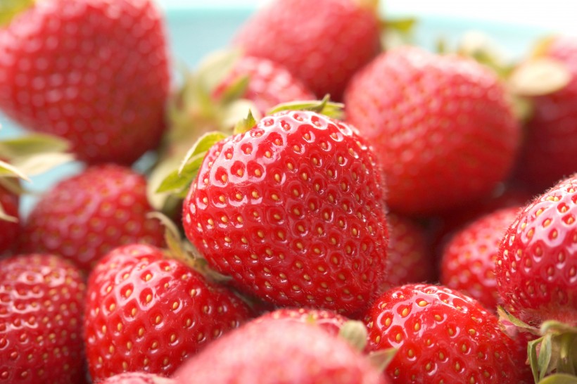 点击大图看下一张：鲜红又美味的草莓图片
