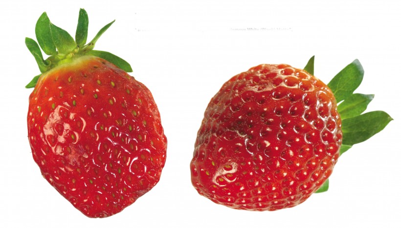 点击大图看下一张：成双对的草莓图片