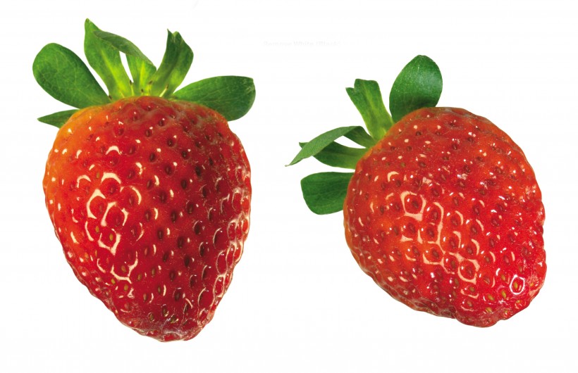 点击大图看下一张：成双对的草莓图片