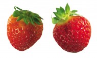 成双对的草莓图片_15张