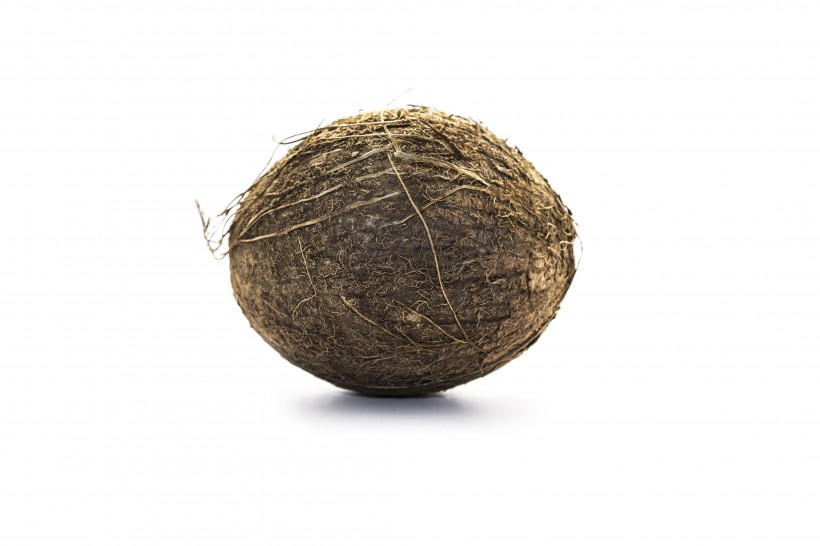 点击大图看下一张：棕色的椰子图片