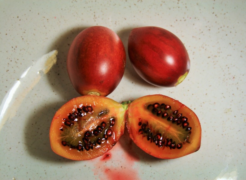 点击大图看下一张：美味树番茄图片
