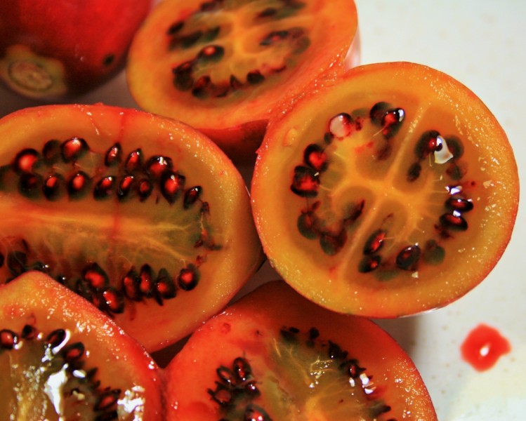 点击大图看下一张：美味树番茄图片