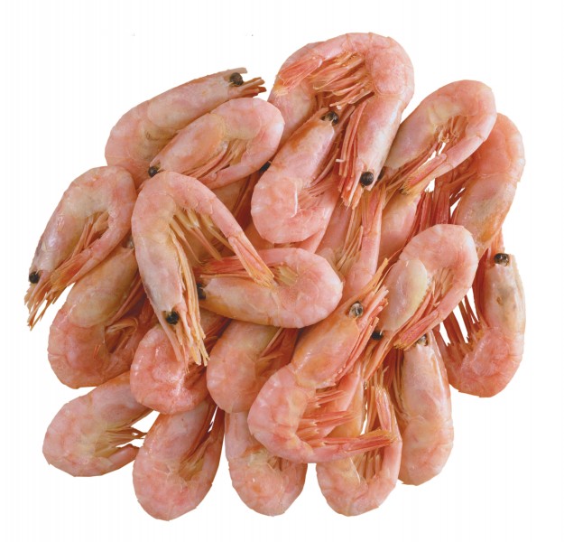 点击大图看下一张：鲜肥味美的对虾图片